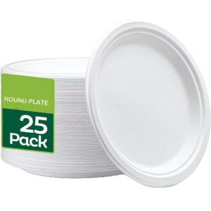 12inch Bagasse Plates - Extra Large - (250pcs)