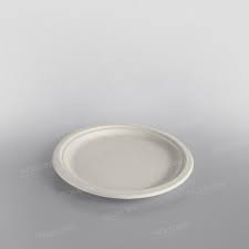 9inch Bagasse Plates - Medium - (500pcs)