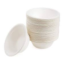 12oz Bagasse Bowl - Large - (500pcs)